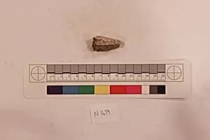 Stucco Fragment by Unknown Artist