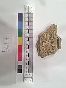 Stucco Fragment by Unknown Artist