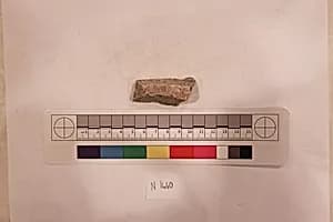 Stucco Fragment by Unknown Artist