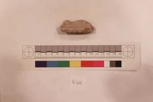 Stucco Fragment by Unknown Artist