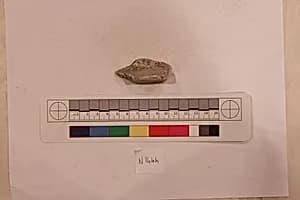 Stucco Fragment by Unknown Artist