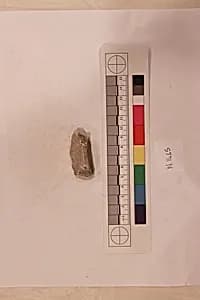 Stucco Fragment by Unknown Artist