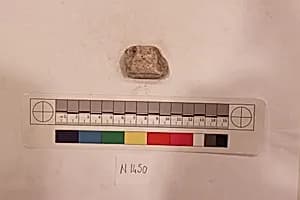 Stucco Fragment by Unknown Artist