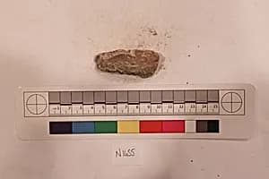 Stucco Fragment by Unknown Artist