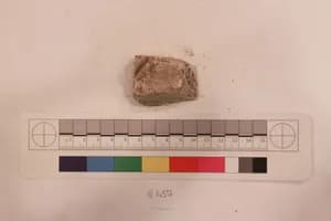 Stucco Fragment by Unknown Artist