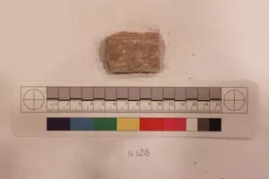 Stucco Fragment by Unknown Artist