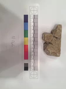 Stucco Fragment by Unknown Artist