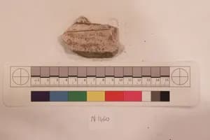 Stucco Fragment by Unknown Artist