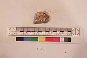 Stucco Fragment by Unknown Artist