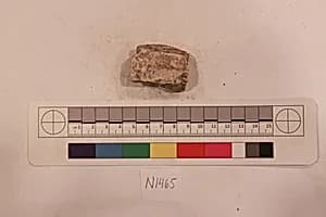 Stucco Fragment by Unknown Artist