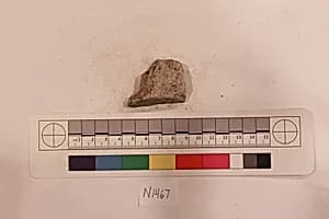 Stucco Fragment by Unknown Artist