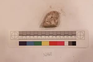 Stucco Fragment by Unknown Artist