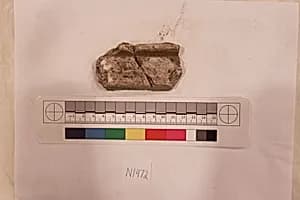Stucco Fragment by Unknown Artist