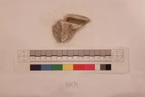 Stucco Fragment by Unknown Artist