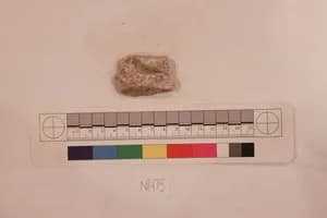 Stucco Fragment by Unknown Artist