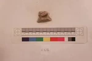 Stucco Fragment by Unknown Artist