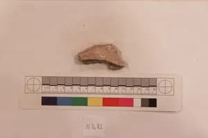Stucco Fragment by Unknown Artist