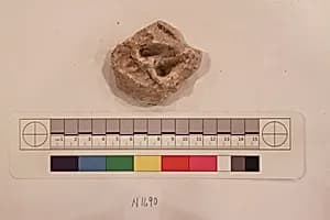 Stucco Fragment by Unknown Artist