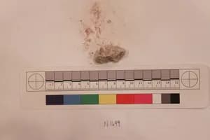 Stucco Fragment by Unknown Artist