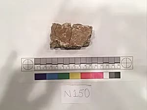 Stucco Fragment by Unknown Artist