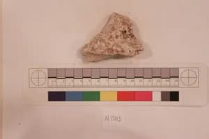 Stucco Fragment by Unknown Artist