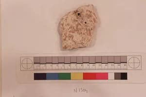 Stucco Fragment by Unknown Artist