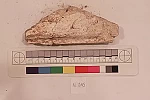 Stucco Fragment by Unknown Artist