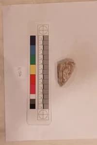 Stucco Fragment by Unknown Artist