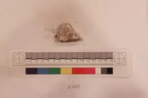 Stucco Fragment by Unknown Artist