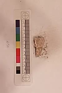 Stucco Fragment by Unknown Artist