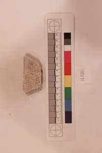 Stucco Fragment by Unknown Artist