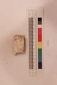 Stucco Fragment by Unknown Artist