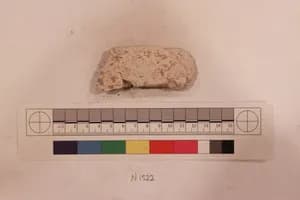 Stucco Fragment by Unknown Artist