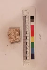 Stucco Fragment by Unknown Artist