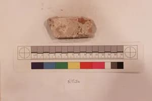 Stucco Fragment by Unknown Artist