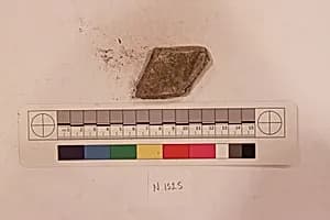Stucco Fragment by Unknown Artist