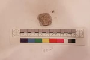 Stucco Fragment by Unknown Artist
