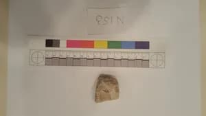 Stucco Fragment by Unknown Artist
