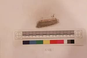 Stucco Fragment by Unknown Artist