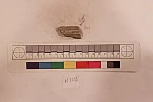 Stucco Fragment by Unknown Artist