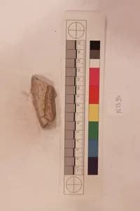 Stucco Fragment by Unknown Artist
