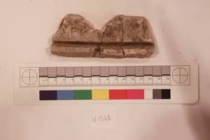 Stucco Fragment by Unknown Artist