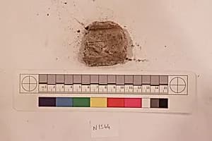 Stucco Fragment by Unknown Artist
