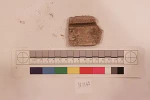 Stucco Fragment by Unknown Artist