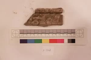 Stucco Fragment by Unknown Artist