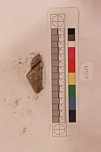 Stucco Fragment by Unknown Artist