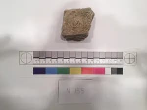 Stucco Fragment by Unknown Artist