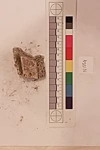 Stucco Fragment by Unknown Artist