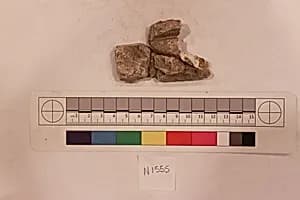Stucco Fragment by Unknown Artist