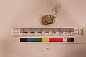 Stucco Fragment by Unknown Artist
